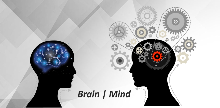 Difference Of Brain And Mind What Is The Different Between